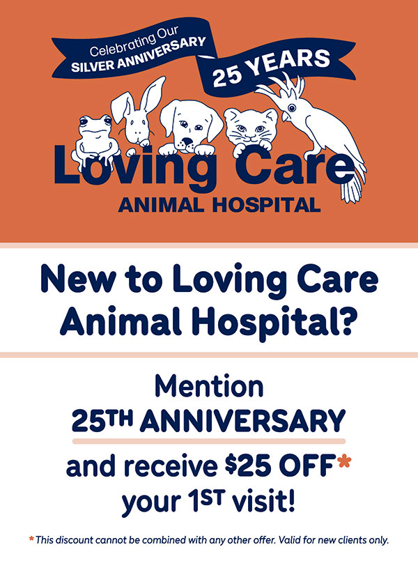 Loving-care-25-flyer.jpg